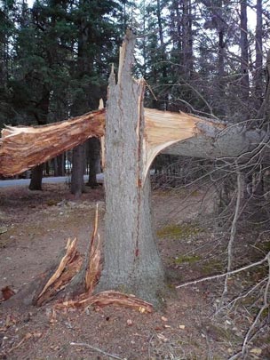  ARACELI SEGARRA _ quebrado 