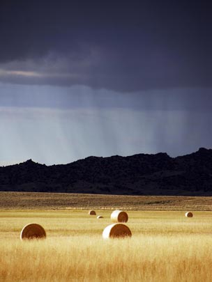  ARACELI SEGARRA _ sol y tormenta 