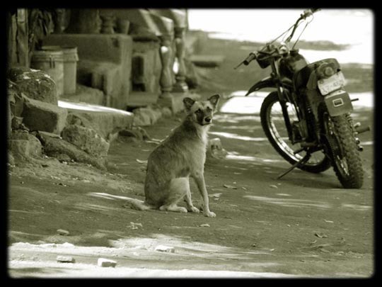  ARACELI SEGARRA _ súbete a mi moto 