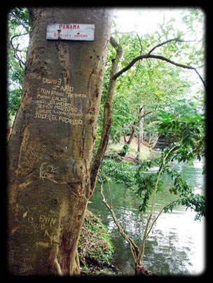  ARACELI SEGARRA _ tablón de anuncios 