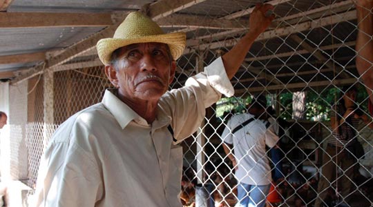  ARACELI SEGARRA _ toda una vida 