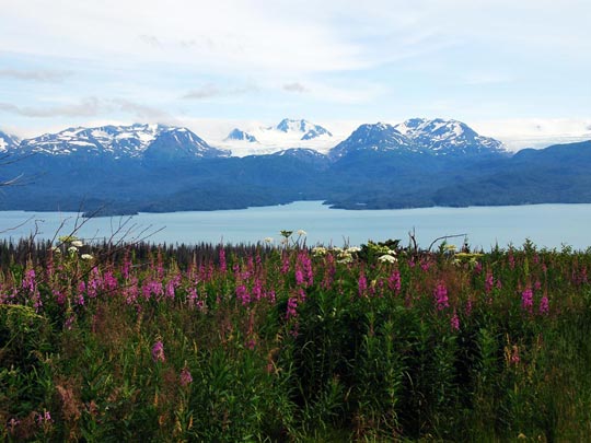  ARACELI SEGARRA _ todavía hay un paraiso 