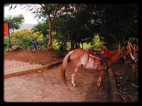  ARACELI SEGARRA _ transportes ecológicos 