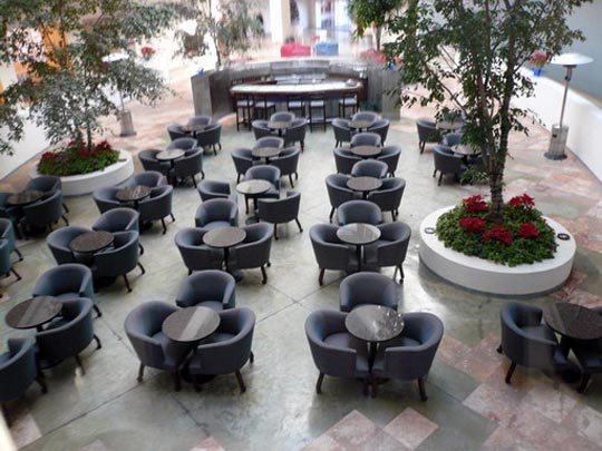  ARACELI SEGARRA _ trebolus urbanus 