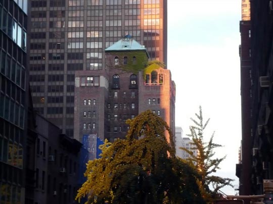  ARACELI SEGARRA _ trepa 