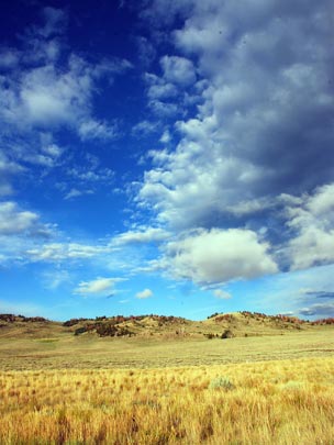  ARACELI SEGARRA _ un lugar tranquilo 