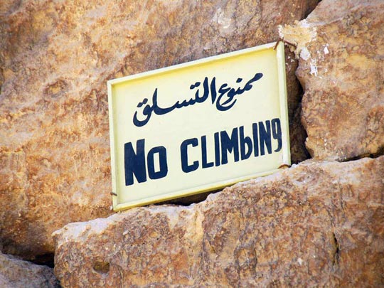  ARACELI SEGARRA _ va a ser que no 