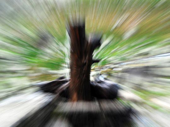  ARACELI SEGARRA _ ¡vaya movida de 'fuete'! 