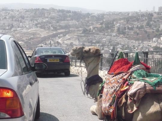  ANA SANCHEZ _ adelantamiento jorobado 