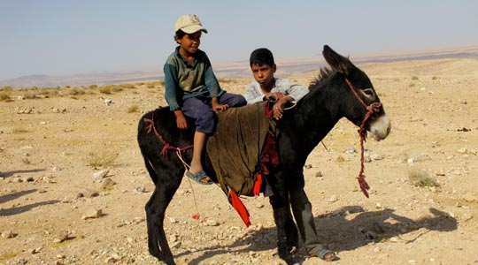  ANA SANCHEZ _ dos niños a(burri)dos 