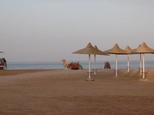  ANA SANCHEZ _ el sol a veces joroba 