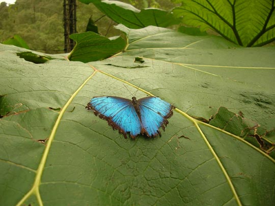  ANA SANCHEZ _ ¿es sexista esta foto? (2) 