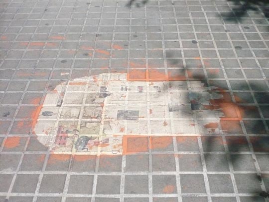  ANA SANCHEZ _ la prensa está por los suelos 