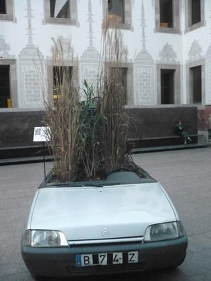  ANA SANCHEZ _ le dejaron plantado 