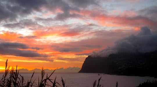  ANA SANCHEZ _ ¡oh cielos! 