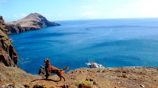  ANA SANCHEZ _ para abrir boca 