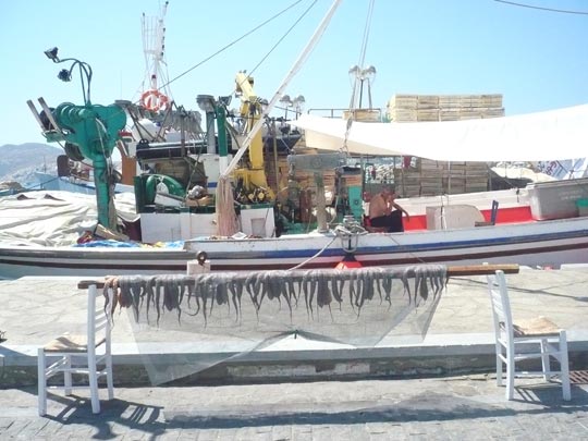  ANA SANCHEZ _ pulpo encasillado 