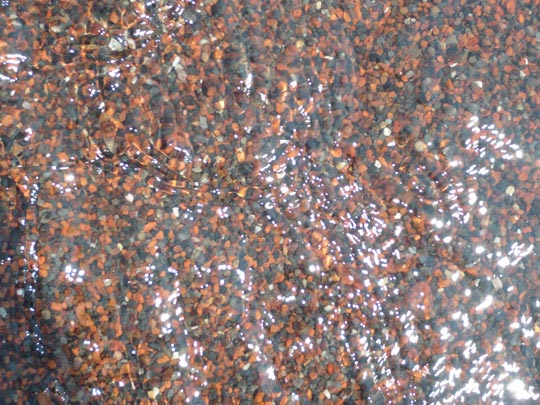  ANA SANCHEZ _ the red beach (santorini) 