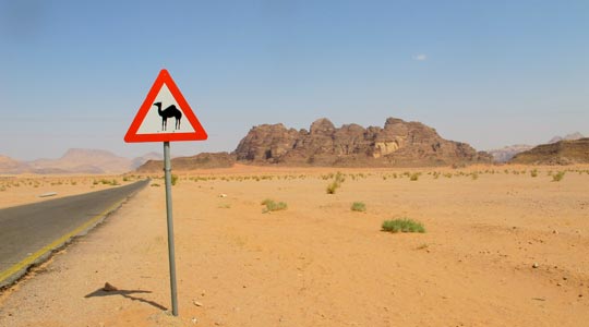  ANA SANCHEZ _ una carretera jorobada 