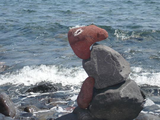  ANA SANCHEZ _ una tortuga (2) 