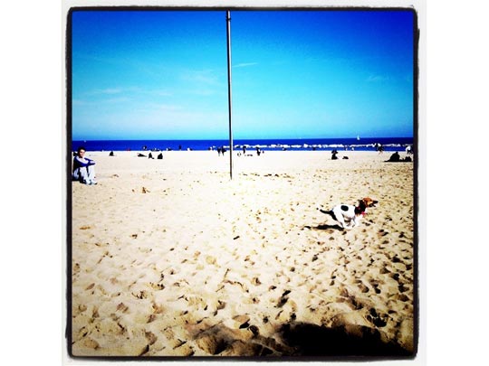  ANA SANCHEZ _ y otra de arena 