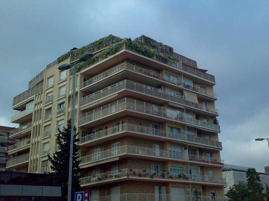  BERTO ROMERO _ edificio florecido 