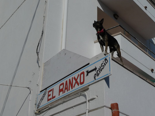  BERTO ROMERO _ el guardián del ranxo 