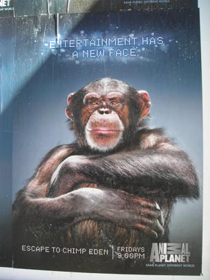  BERTO ROMERO _ entertainment has a new face 