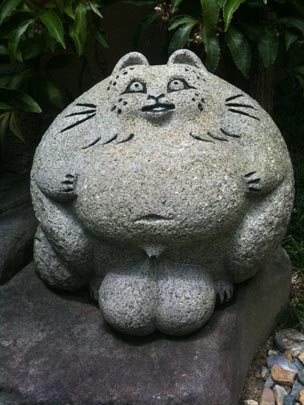  BERTO ROMERO _ gato con hidrocele 