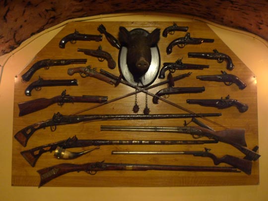  BERTO ROMERO _ jabalí acorralado 