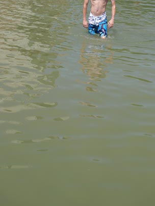  BERTO ROMERO _ la cosa del pisuerga 