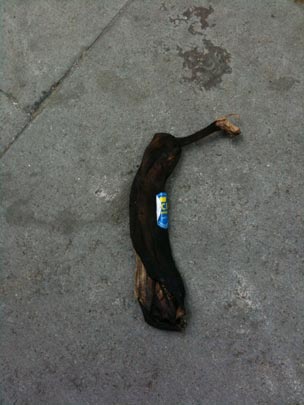  BERTO ROMERO _ la pegatina no se seca 