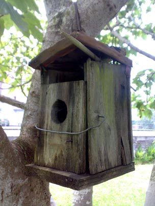  BERTO ROMERO _ para entrar a vivir 