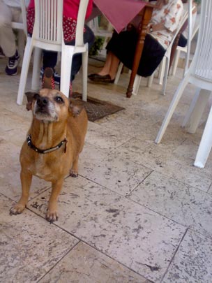  BERTO ROMERO _ perrete (2) 