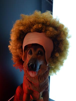  BERTO ROMERO _ perro garfunkel 