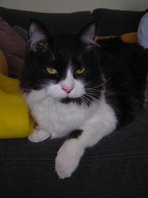  BERTO ROMERO _ seductor 