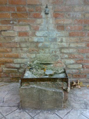  BERTO ROMERO _ sequía 