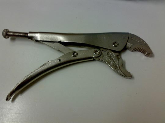  BERTO ROMERO _ tenasaurus 