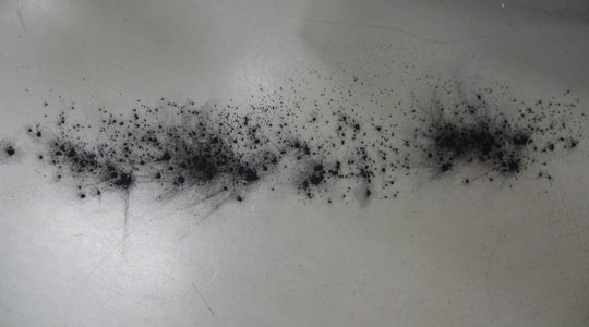  BERTO ROMERO _ tóner 