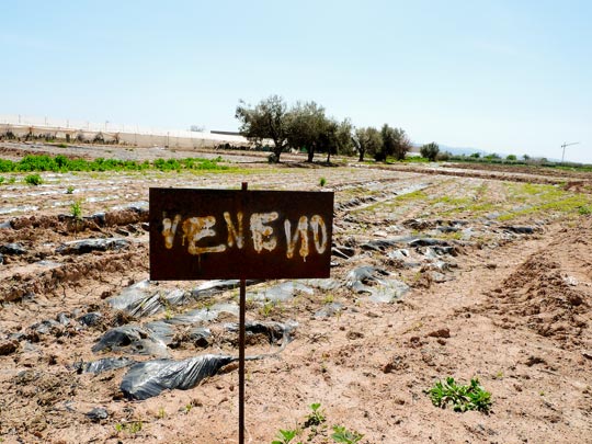  BERTO ROMERO _ veneno 