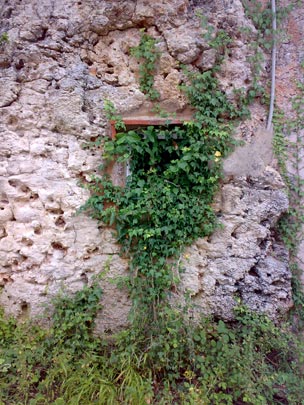  BERTO ROMERO _ ventana 