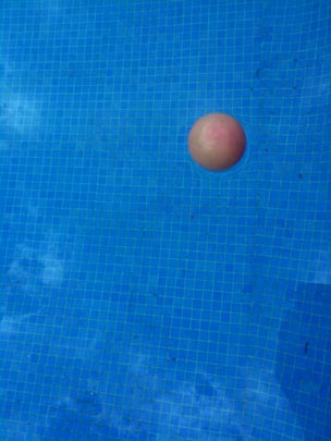  BERTO ROMERO _ verano 