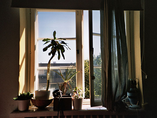  DANIELA CARVALHO _ laura's window, finlandia 