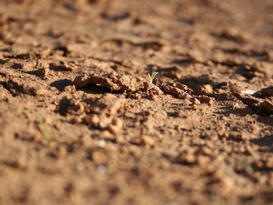  EDU SOTO _ algo de vida 