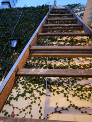  EDU SOTO _ camino hacia arriba 