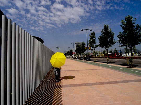  FRANCESC FÀBREGAS _ amarillo 