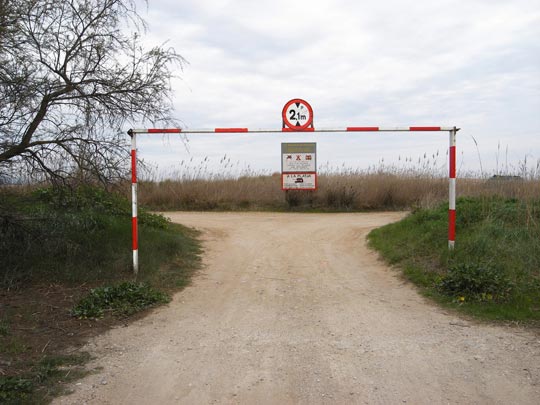  FRANCESC FÀBREGAS _ fin de trayecto 