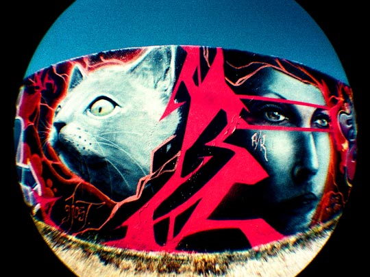  FRANCESC FÀBREGAS _ gatas en la pared 