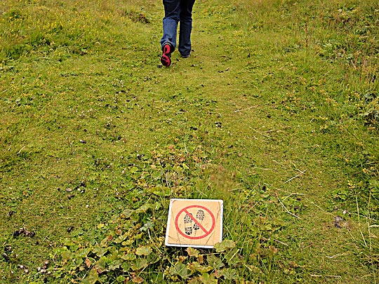  FRANCESC FÀBREGAS _ no more running 