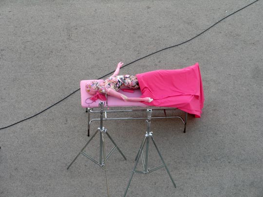  FRANCESC FÀBREGAS _ stamby rosa 